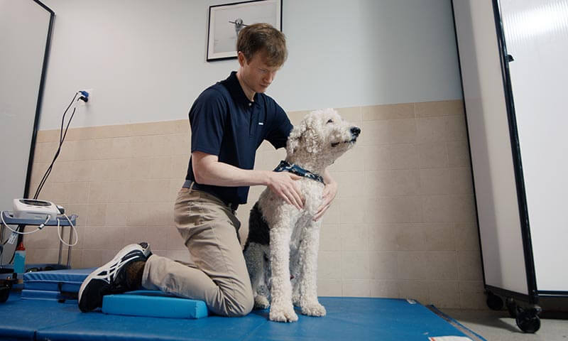 Acupuncture Services