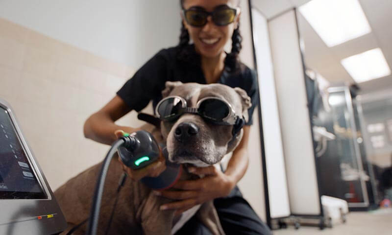 Diagnostics & Imaging Services