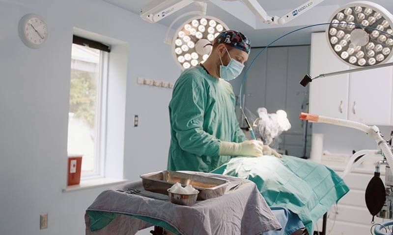 General Surgery Services