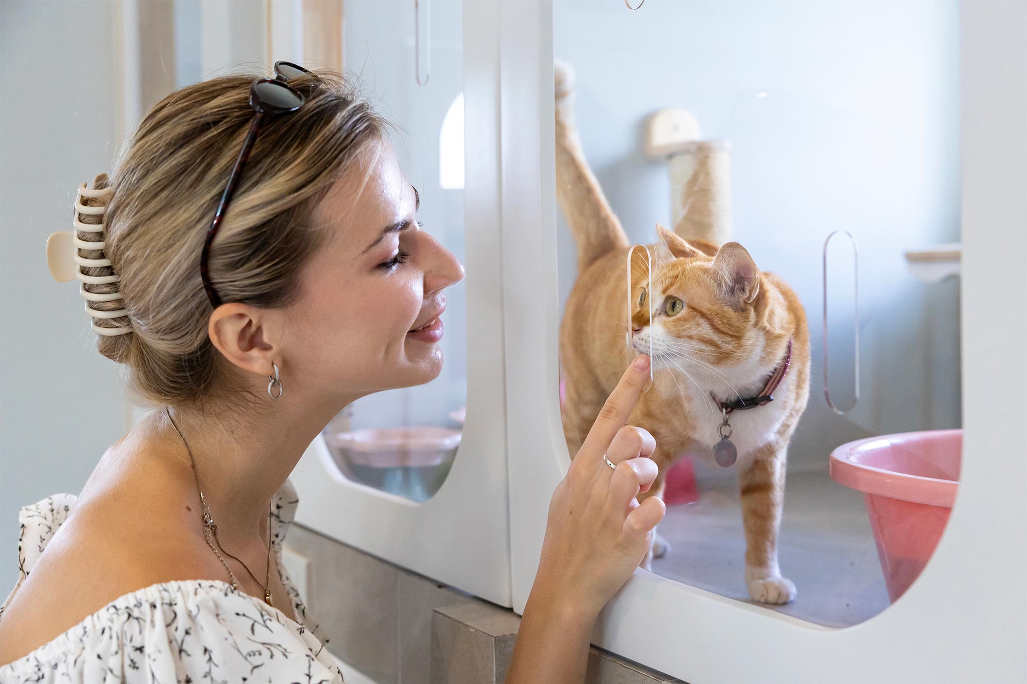 woman petting cat at pet boarding facility