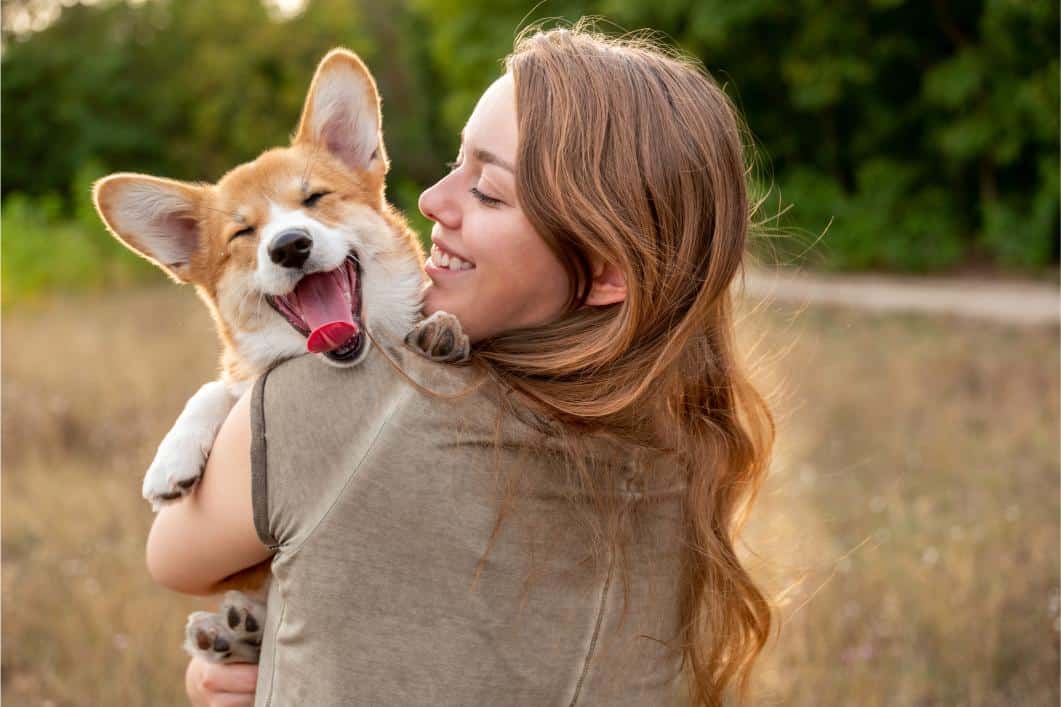 Impact of Summer on Your Dog’s Health