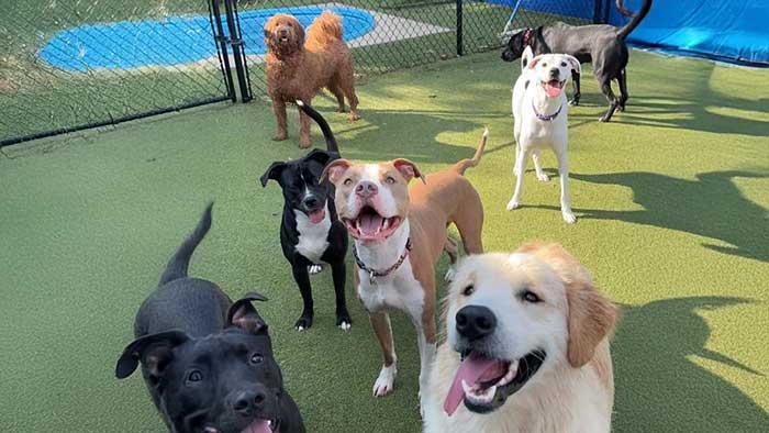 Our outdoor play area