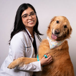 Andrea Franco, DVM, Veterinarian Andrea Franco, DVM, Veterinarian