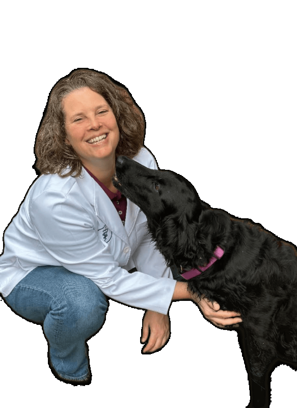 Greta Stamberg, DVM, Veterinarian