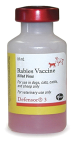 rabies(1)