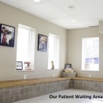 our patient waiting area